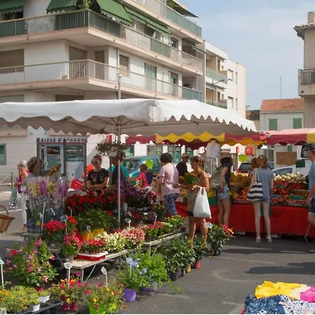 Daire Bel Appartement, Centre Culturel Vallauris